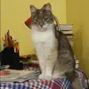 Отзыв от Кира Свешникова